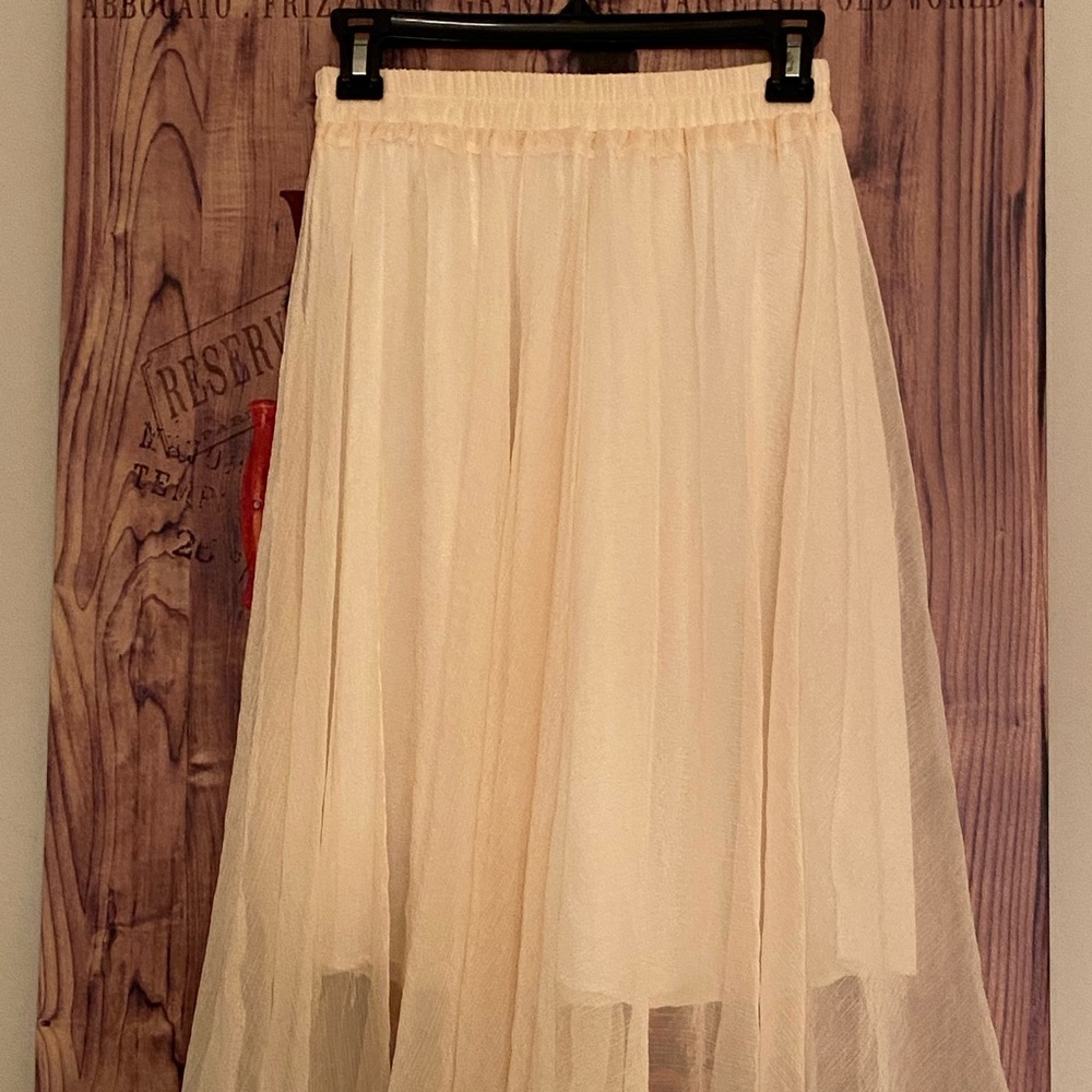 Dressy Skirt